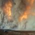 Ontario concentra más de 80 incendios forestales fuera de control.