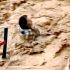 Una mujer es arrastrada por el agua tras intensas lluvias en Nogales, Sonora.