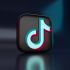 Unión Europea va contra TikTok.