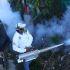 Auxiliares municipales de las colonias Lagunilla y Benito Juárez realizan una jornada contra el dengue con termo nebulización en algunas calles que llegan hasta la barranca de Analco y Tecolote. Según el último informe emitido por la Secretaría de Salud, en Morelos se han presentado 730 casos positivos de dengue, cifra que es 4 veces mayor a los 158 casos que se contabilizaron en 2022