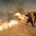 Civiles y bomberos combaten incendio cerca de Madrid.