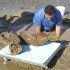 Sequía en el Danubio revela huesos de mamut
