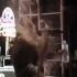 La cantante folclórica Soraya Nieto sufre lesiones en el rostro tras ser agredida con una botella de vidrio durante un concierto en Huamanga, Perú.