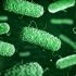 Ilustración microscópica de bacterias verdes con forma alargada, representativas de microorganismos asociados con infecciones gastrointestinales.