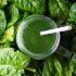 Receta de licuado verde de amaranto, avena y espinacas