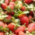 Fresas