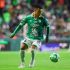 Fernando Beltrán pone en un altar a Matías Almeyda