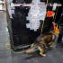 Aseguran millones de cigarros