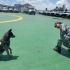 Cada agente canino recibe un entrenamiento disciplinado y adaptado a sus propias habilidades y características físicas.