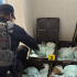 contra Los Rusos, con apoyo de la DEA