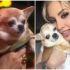 Bruno, el perrito de Paty Navidad murió