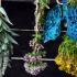 Plantas medicinales para los pulmones: ¿cuáles son y son seguras?