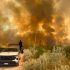 Incendio afecta mil hectáreas de pastizal en el municipio de Jiménez, Tamaulipas