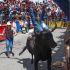 La tradicional huamantlada en Huamantla, Tlaxcala, dejó un muerto y nueve lesionados tras el encierro de 21 toros de lidia en las calles del municipio.