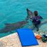 La Profepa describe como “crítica” la salud de 9 delfines resguardados en el predio Dolphin Connection Cancún en Quintana Roo.