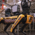 ICE planea invertir hasta 2 millones de dólares en perros robot SPOT para operativos migratorios y de seguridad.