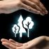 Mexico Carbon Forum 2026: BioCarbon Cert innova en lo ambiental