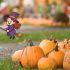 Pumpkin Fest México 2026: actividades, fechas, horarios y boletos