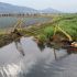 La estrategia coordinada entre la Federación y el gobierno estatal busca revertir décadas de abandono e impacto ambiental en la región.