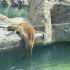 Visitantes expresaron su preocupación por el estado de salud y las condiciones en las que se encuentran diversos animales.