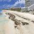 Playa de Cancún, Quintana Roo, afectada por sargazo.