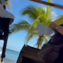 Imagen de una extranjera reclama ser dueña de playa en Xcalacoco