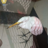 Especialistas de la Brigada de Vigilancia Animal (BVA) de la SSC aseguraron a la garza localizada en el Eje Central Lázaro Cárdenas para trasladarla a Xochimilco, donde un veterinario evaluará su estado de salud.