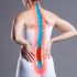 Menopausia: ¿tomar leche en esta etapa previene la osteoporosis?
