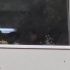 Paramédicos y autoridades atienden a un estudiante de segundo año lesionado durante una riña al interior de la Prepa 1 de la UNAM.