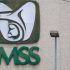 Logo IMSS