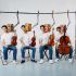 El Cuarteto Arod se presentará en la edición 54 del Festival Internacional Cervantino
