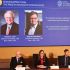 Nobel de Economía 2026: ¿Por qué ganaron Robert Hall y Michael Woodford este galardón?