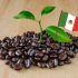 Tipos de café en México