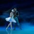 La Compañía Nacional de Danza presentó una nueva lectura de El lago de los cisnes en el Auditorio Nacional
