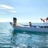 La pesca con redes de enmalle en el hábitat de la vaquita marina nunca se detuvo