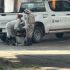 cerco de seguridad ante ataque de abejas en coatzacoalcos