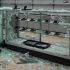 destrozos en la tienda
