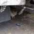 De acuerdo con los propios vecinos, al interior de este lugar todavía permanecen los cadáveres de seis perritos