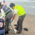 El maestro ingresó al mar a pesar de que la playa se encontraba cerrada debido a las condiciones adversas del mar.