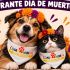 Lomitos y michis en Día de Muertos