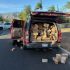 Autoridades de California confiscaron armas, fentanilo y más de 333 mil dólares en mercancía robada tras registrar una vivienda en San Bernardino.
