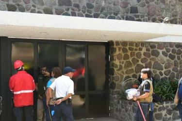 Equipos de emergencia e integrantes de la brigada de rescate animal, realizaron maniobras para capturar un mono que se escapó de una casa y se encontraba en la colonia Lomas de Chapultepec. / Foto: Cuartoscuro.
