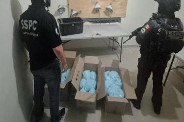 En el estado de Colima, donde fueron decomisados más de 270 kilogramos de fentanilo y detenidas siete personas