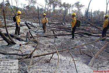 Los incendios provocados en esta zona ha provocado severos daños ecológicos.
