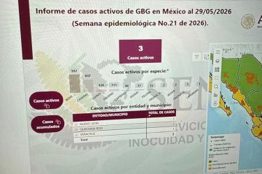 Los casos de gusano barrenador en Nuevo León alcanzaron ya a la fauna silvestre.