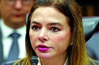 Nosotros solamente somos responsables de la organización de la elección para renovar la Cámara de Diputados. Las autoridades locales son las que deben determinar si existe un acto anticipado de precampaña.” Carla Humphrey, Consejera del INE