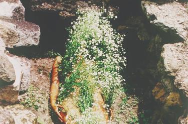 Tate Modern de Londres inaugura la mayor retrospectiva de Ana Mendieta