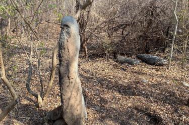 En el sitio Camutla se hallaron estelas que habrían sido colocadas dentro de espacios cívico-ceremoniales.