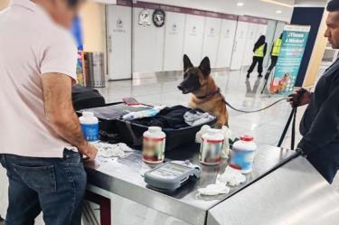 Semar y Aduanas aseguraron en el AICM un cargamento de 6 mil 858 pastillas con hidrocodona y acetaminofén, valuado en 6.8 millones de pesos.