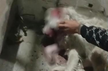 Imágenes censuradas de “Consuelo”, quien lucha por vivir.